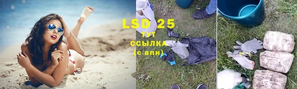гашик Сосновый Бор